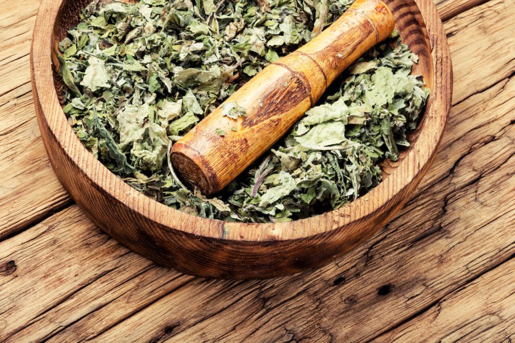 머위 효능과 영양 성분, 주의사항, 이용 방법 머위