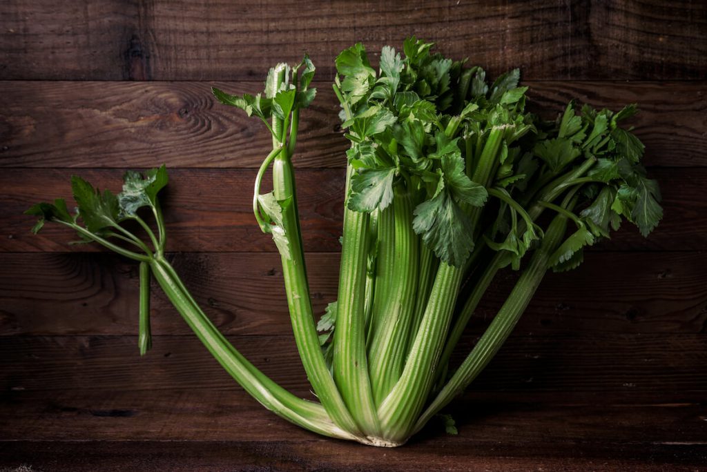 셀러리