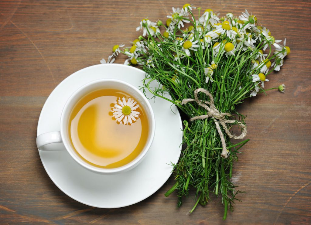 카모마일차 효능, 부작용, 주의사항, 구입 및 사용법