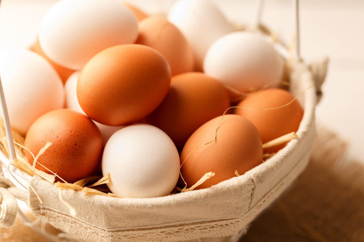 달걀