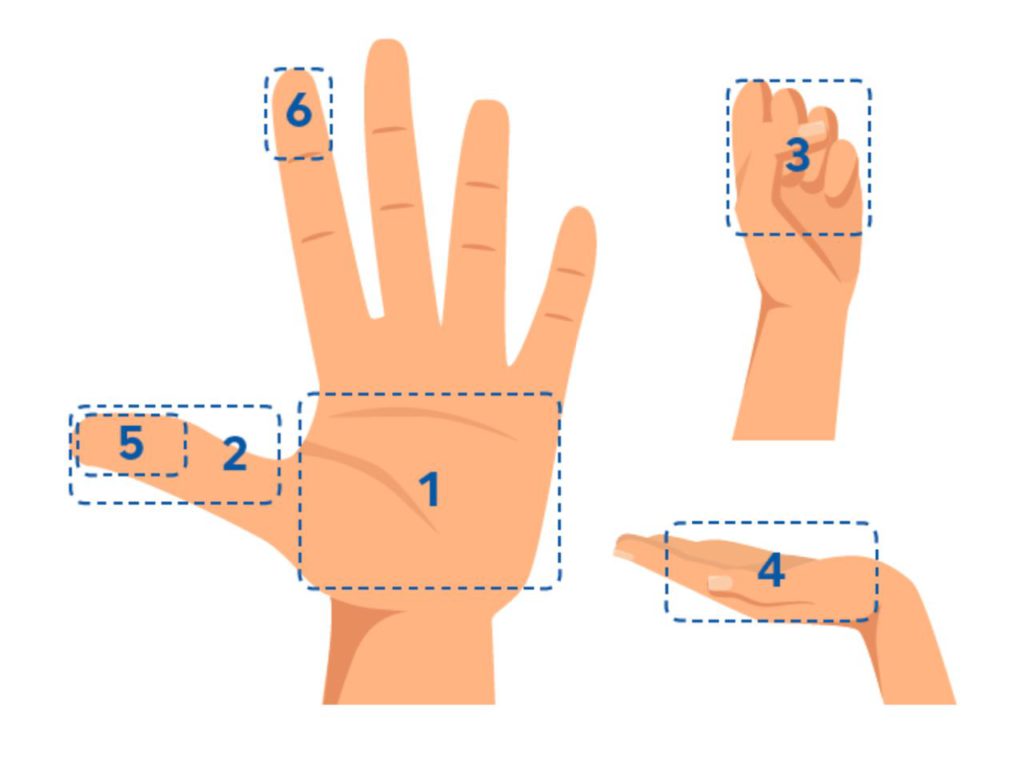 다이어트 팁 – 쉽게 할 수 있는 음식량 가늠 방법
