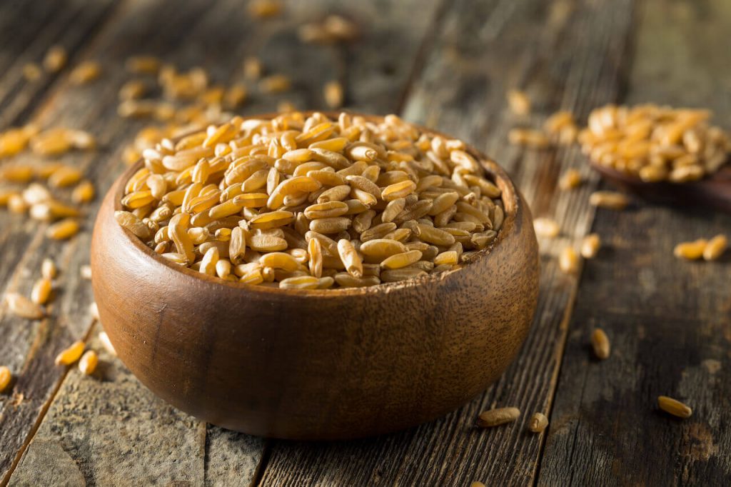 호라산밀(Khorasan wheat) 카무트(Kamut) 효능, 영양성분, 먹는 법 – 다이어트와 당뇨에 좋은 슈퍼푸드 카무트