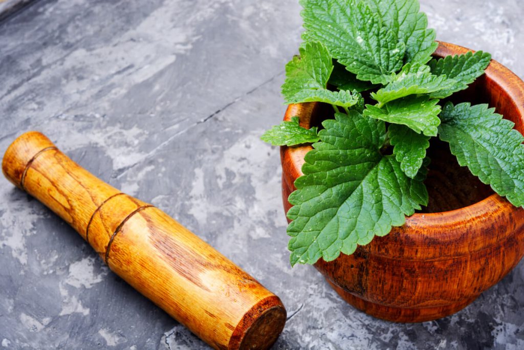 레몬밤 분말 먹는법 – 레몬밤차, 스무디, 시럽으로 활용하기