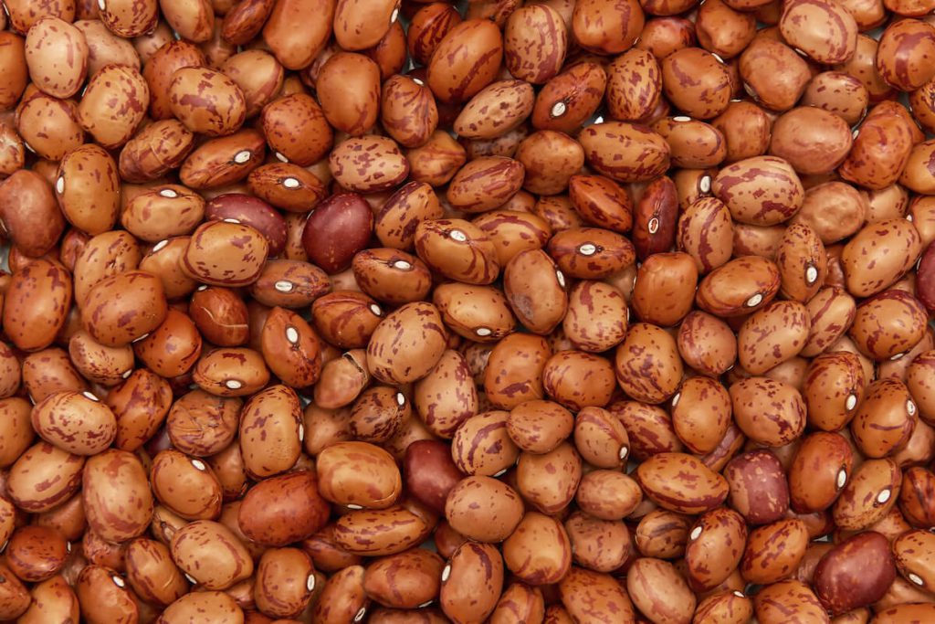 셀레늄 효능, 부작용, 하루 권장량, 셀레늄이 많은 음식