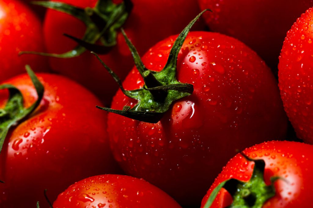 토마토 효능, 영양 성분, 부작용, 토마토 고르는 법과 먹는 법 토마토