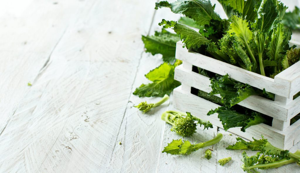 비타민E 효능, 부작용, 결핍증상, 권장량, 비타민E가 많은 음식